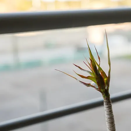 Apartamento Guestready - Chilled Getaway Near Porto *