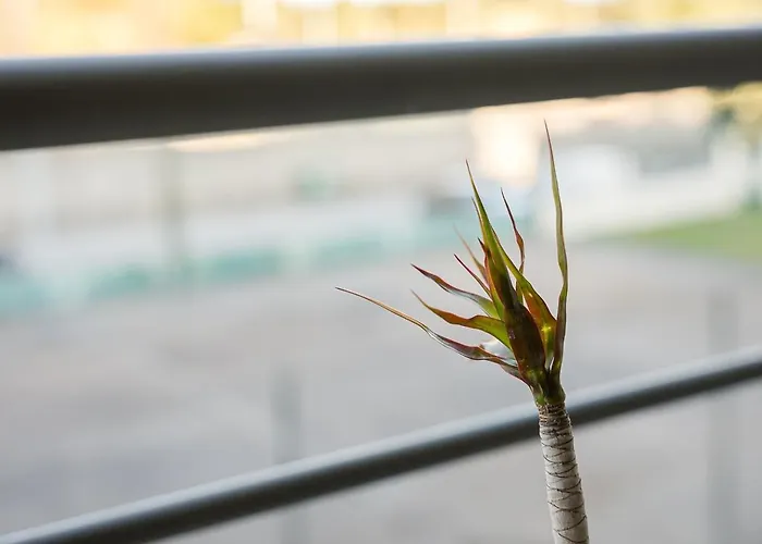 Apartament Guestready - Chilled Getaway Near Porto *